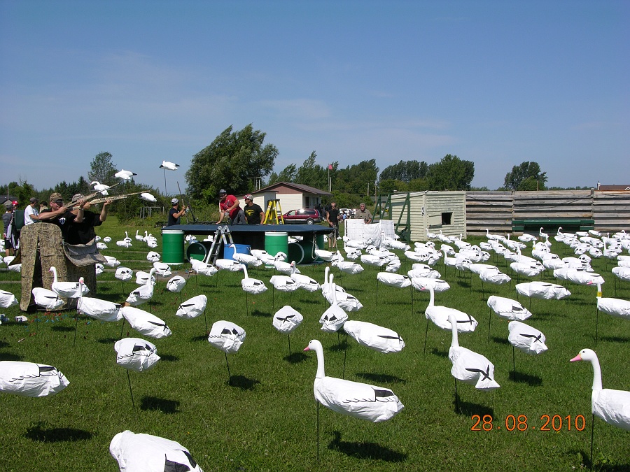 Les sauvaginiers 0354.JPG